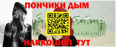 индика Гай